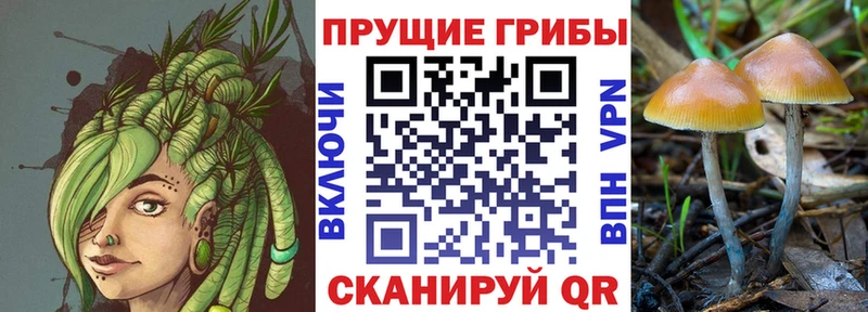 Галлюциногенные грибы ЛСД  Камень-на-Оби 